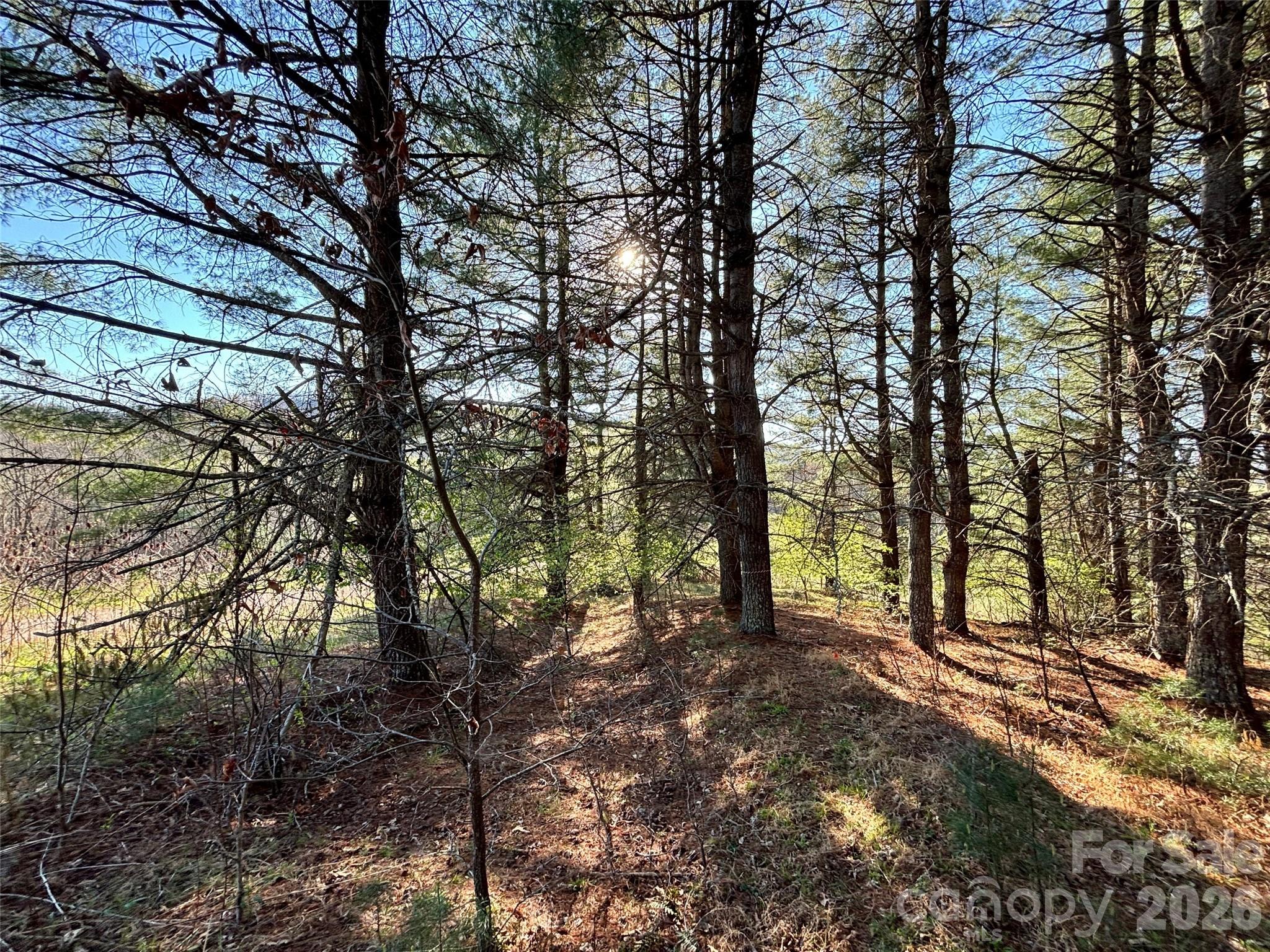 24 Dream Valley Drive Clyde NC 28721
