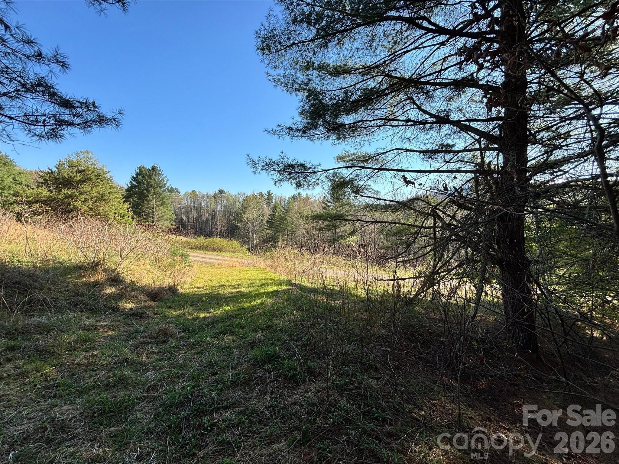 24 Dream Valley Drive Clyde NC 28721