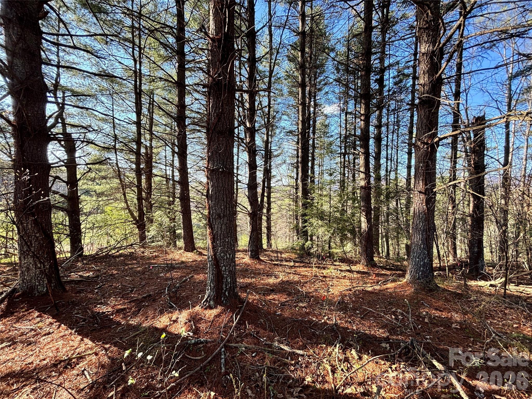 24 Dream Valley Drive Clyde NC 28721