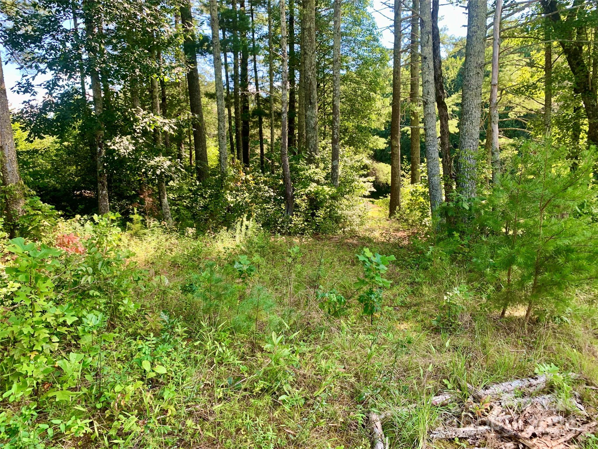 2.81 Acres, 4098 Derbyshire Lane Lenoir NC 28645