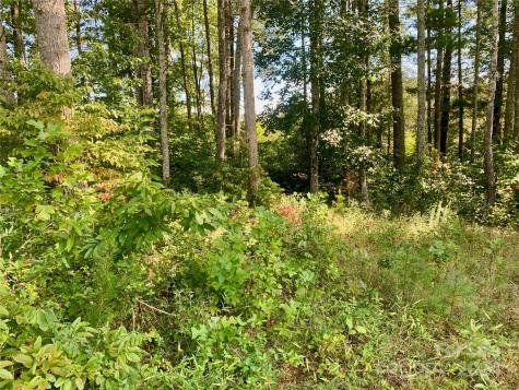 2.81 Acres, 4098 Derbyshire Lane Lenoir NC 28645