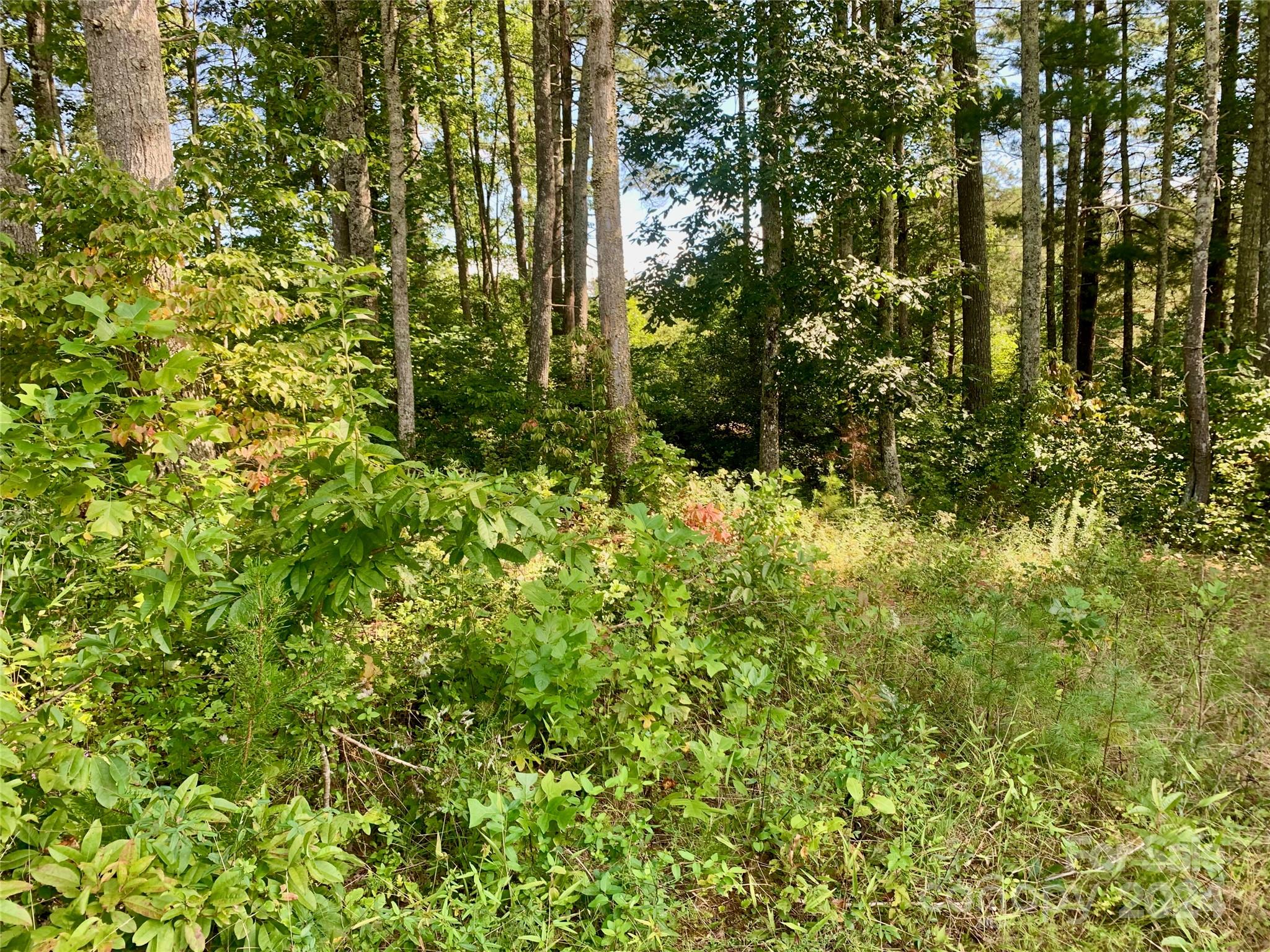 2.81 Acres, 4098 Derbyshire Lane Lenoir NC 28645
