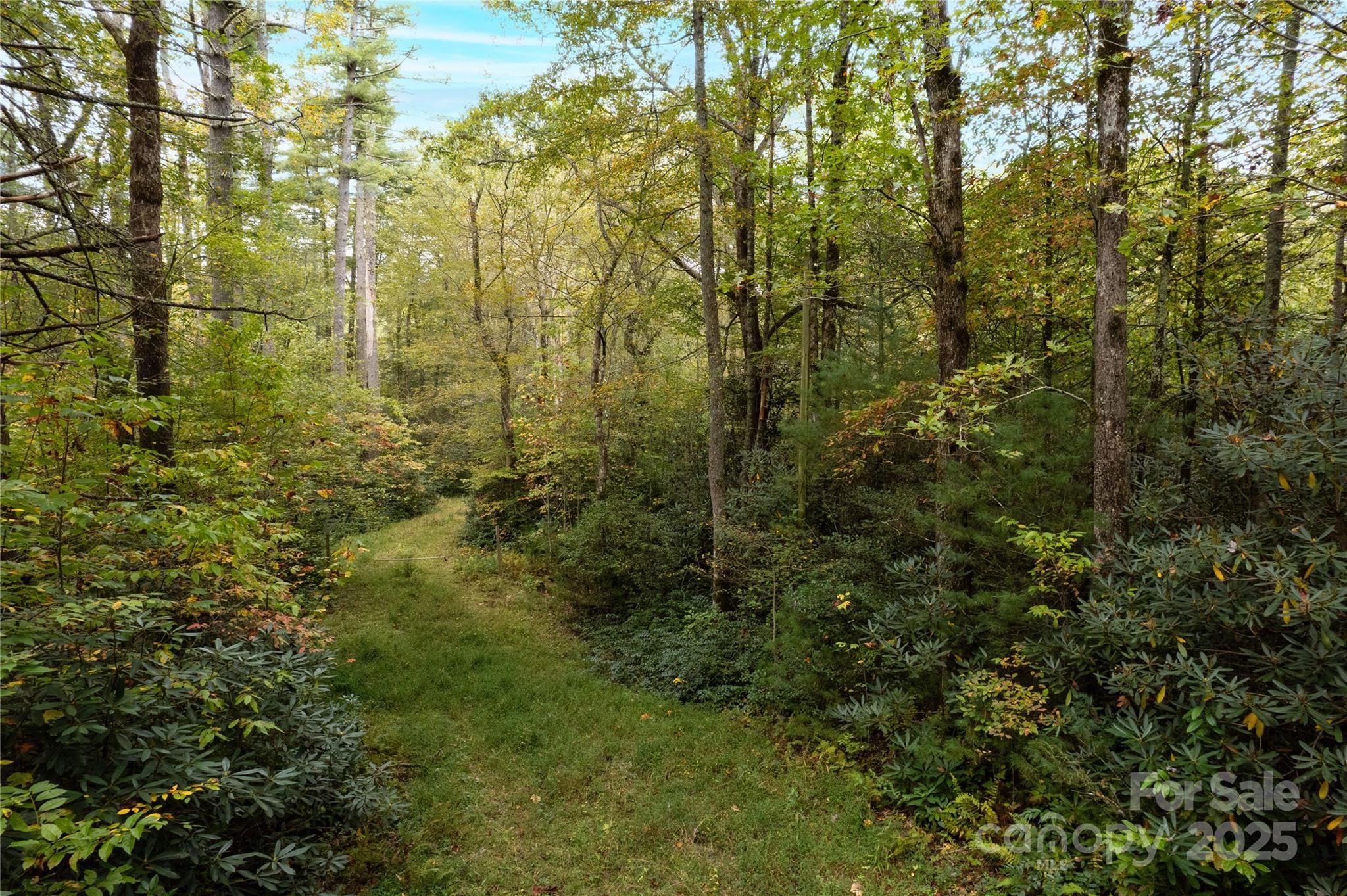 00 Beaumont Drive Cedar Mountain NC 28718