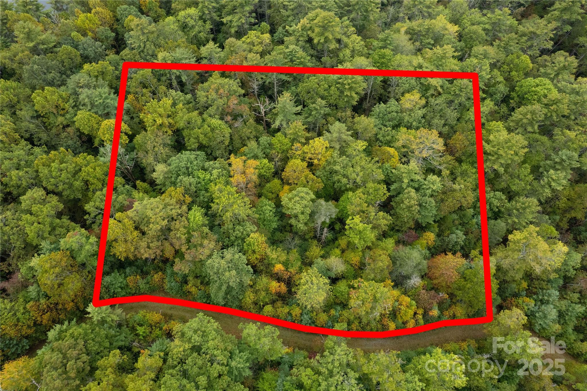 00 Beaumont Drive Cedar Mountain NC 28718