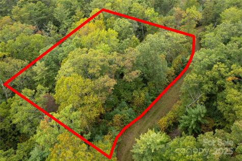 00 Beaumont Drive Cedar Mountain NC 28718