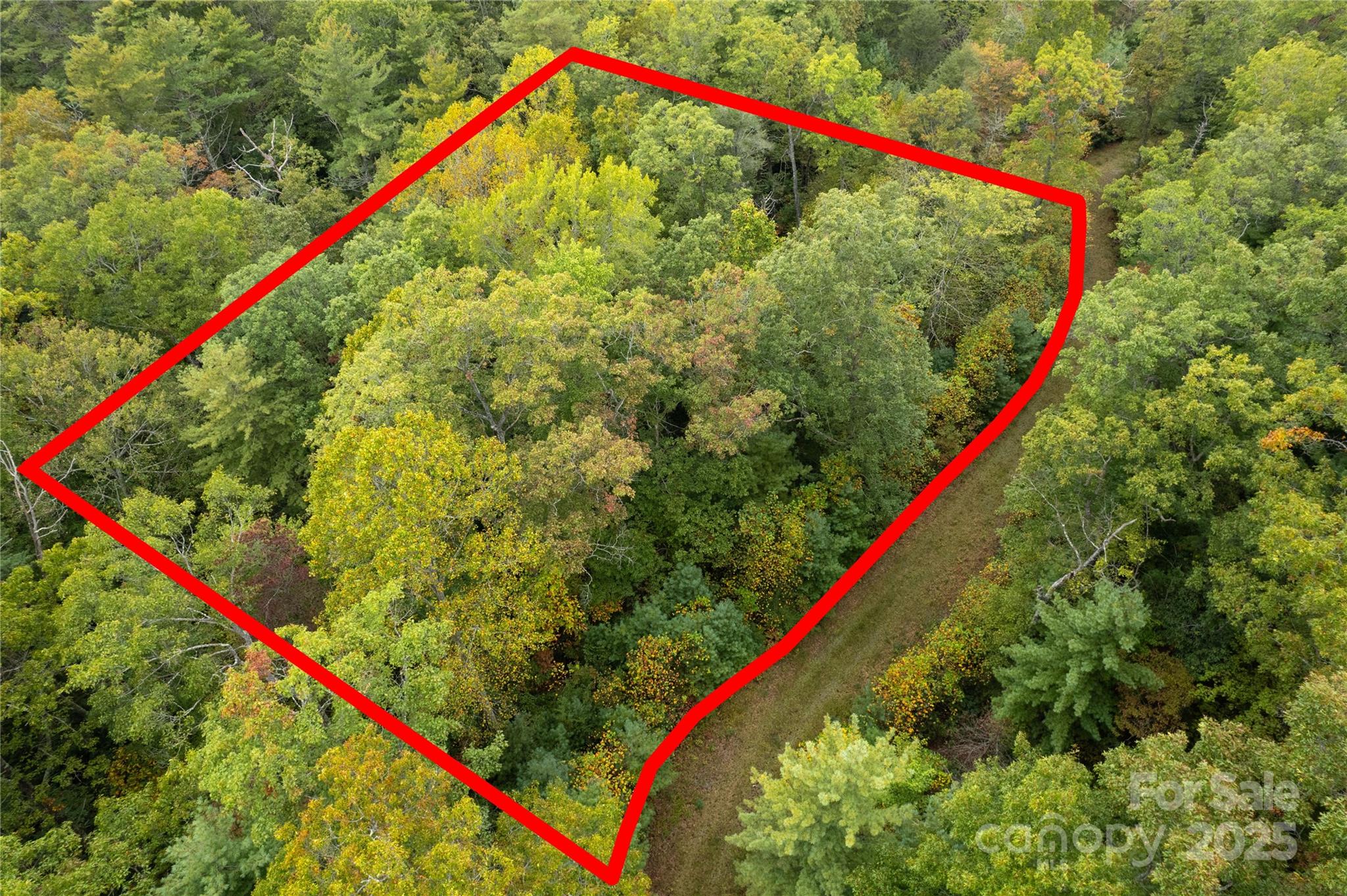 00 Beaumont Drive Cedar Mountain NC 28718