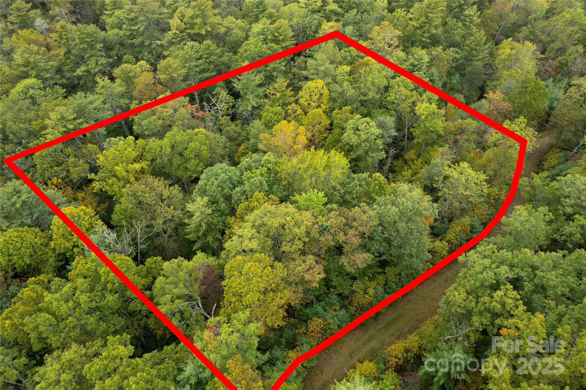 00 Beaumont Drive Cedar Mountain NC 28718