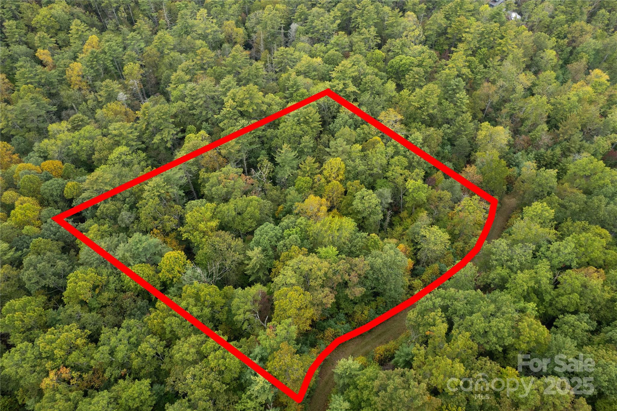 00 Beaumont Drive Cedar Mountain NC 28718