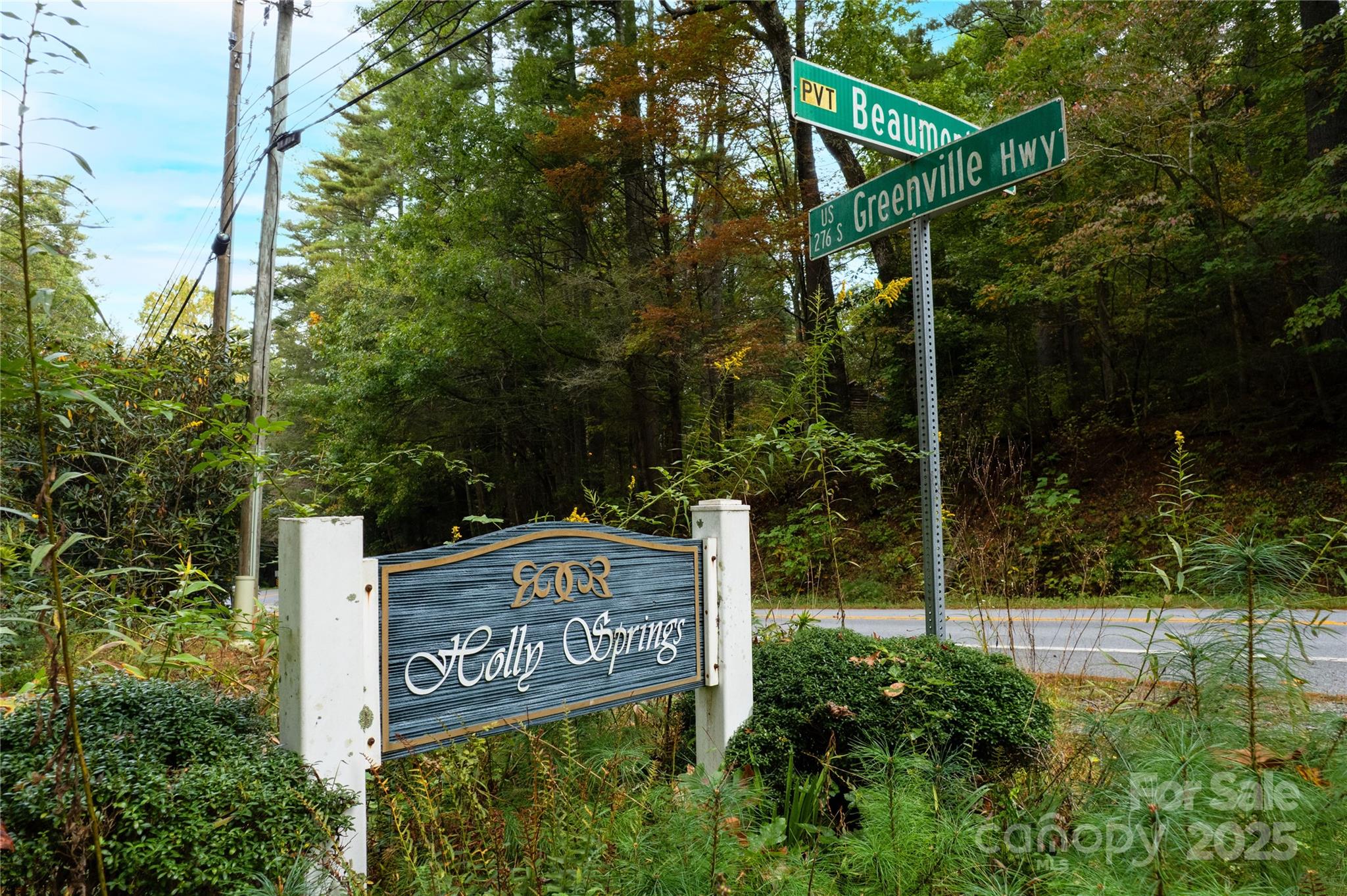 00 Beaumont Drive Cedar Mountain NC 28718