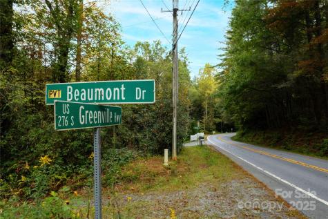 00 Beaumont Drive Cedar Mountain NC 28718