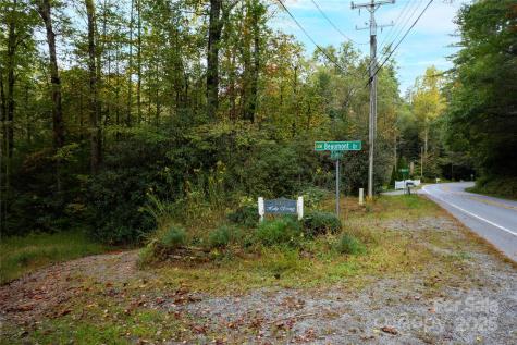 00 Beaumont Drive Cedar Mountain NC 28718