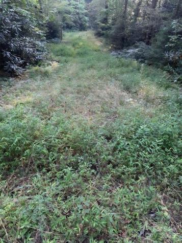 00 Beaumont Drive Cedar Mountain NC 28718