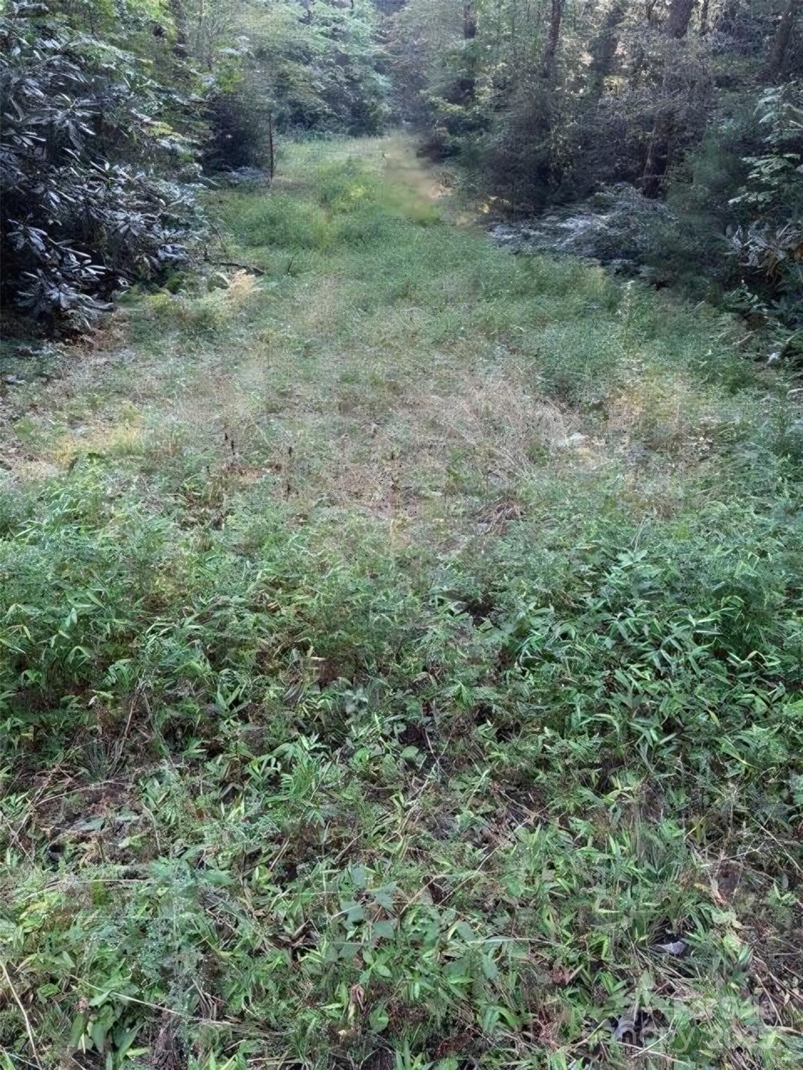 00 Beaumont Drive Cedar Mountain NC 28718