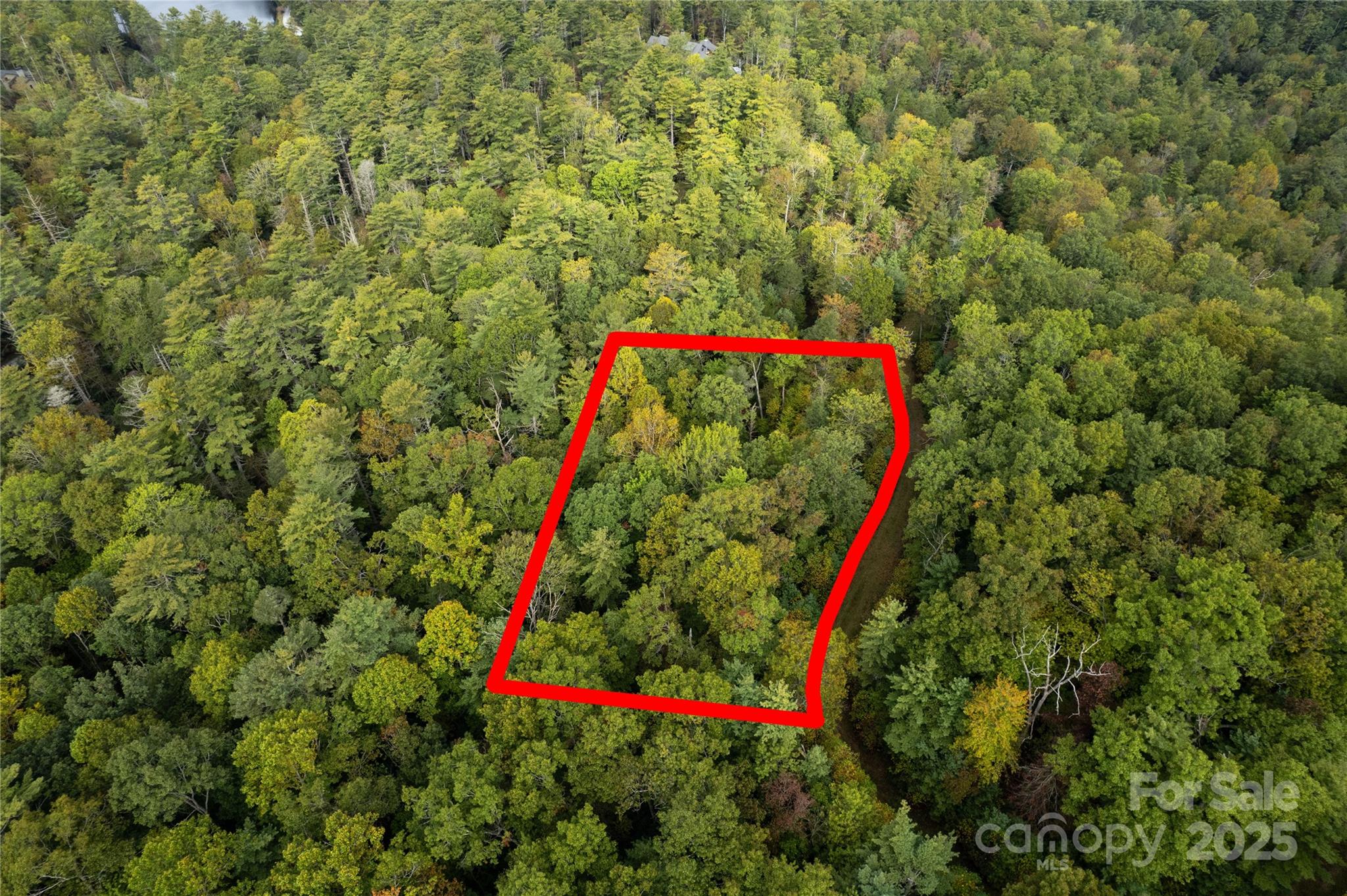 00 Beaumont Drive Cedar Mountain NC 28718