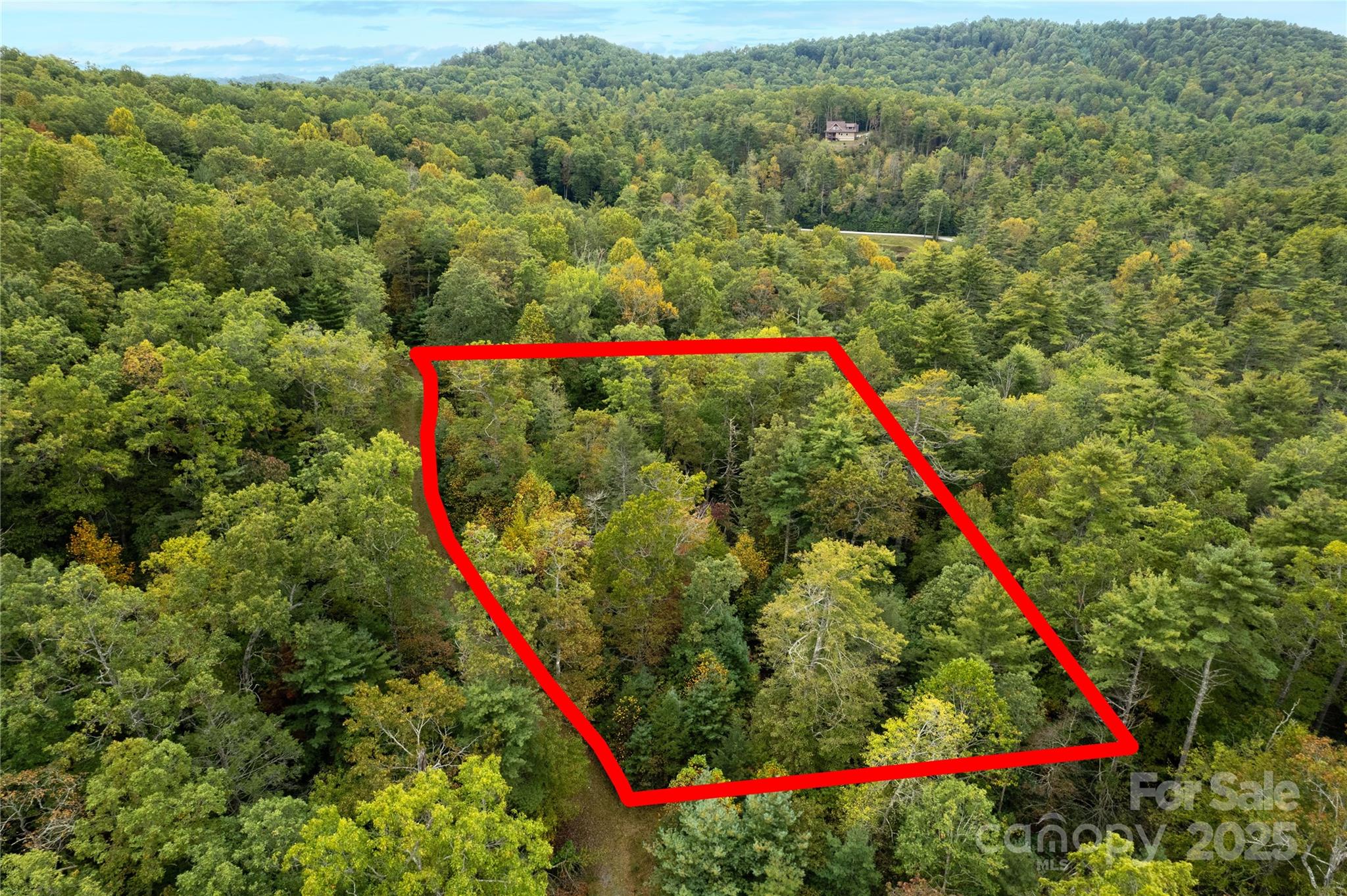 00 Beaumont Drive Cedar Mountain NC 28718