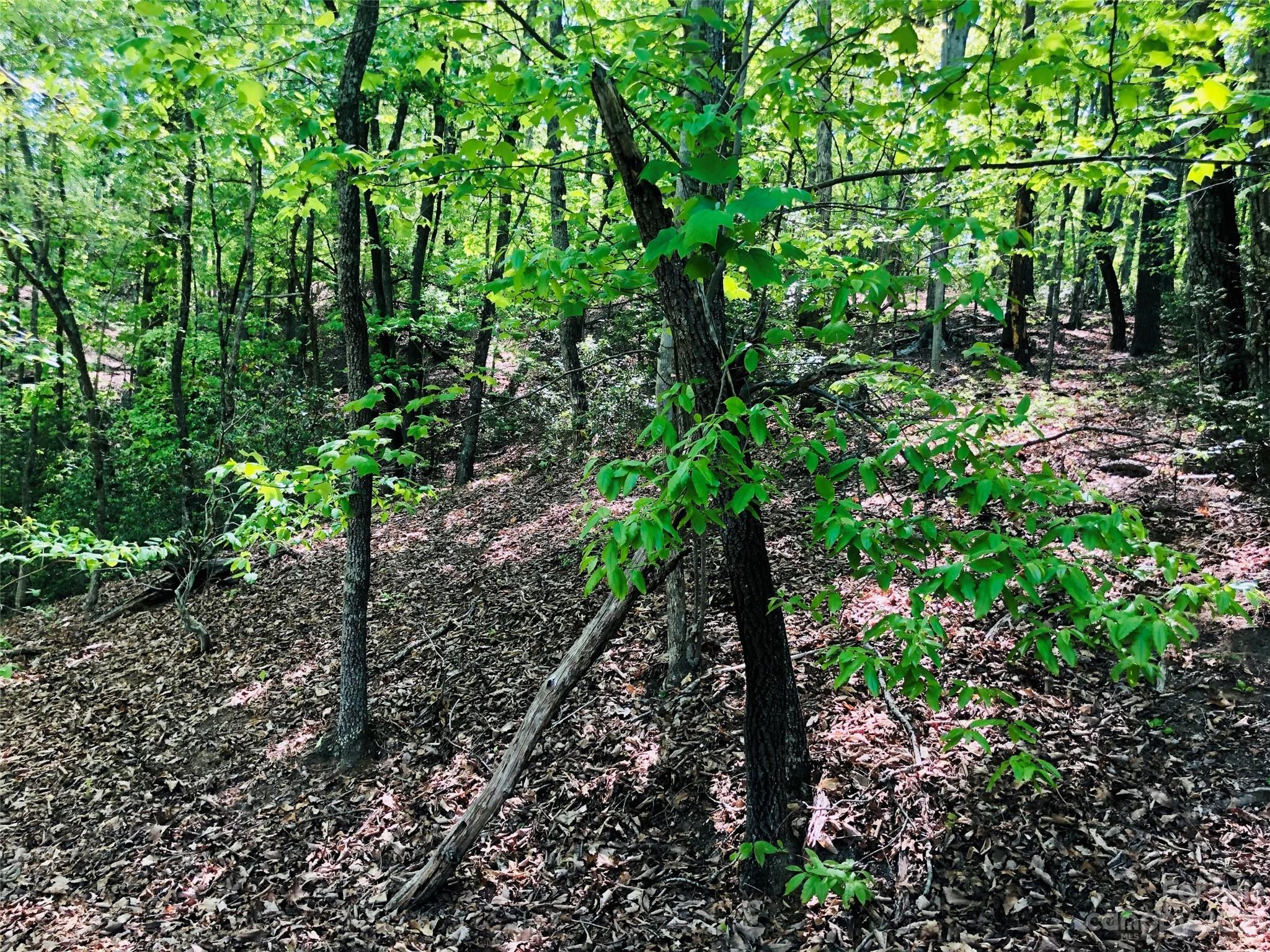 Lot 143 Eagles Avenue Lake Lure NC 28746