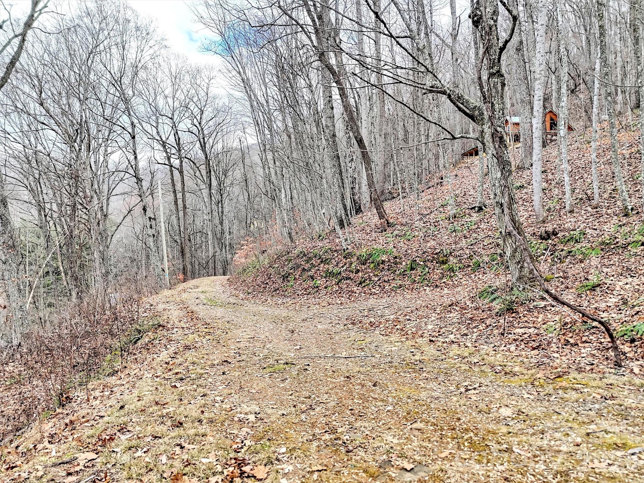 Lot 4d Pelican Place Waynesville NC 28786