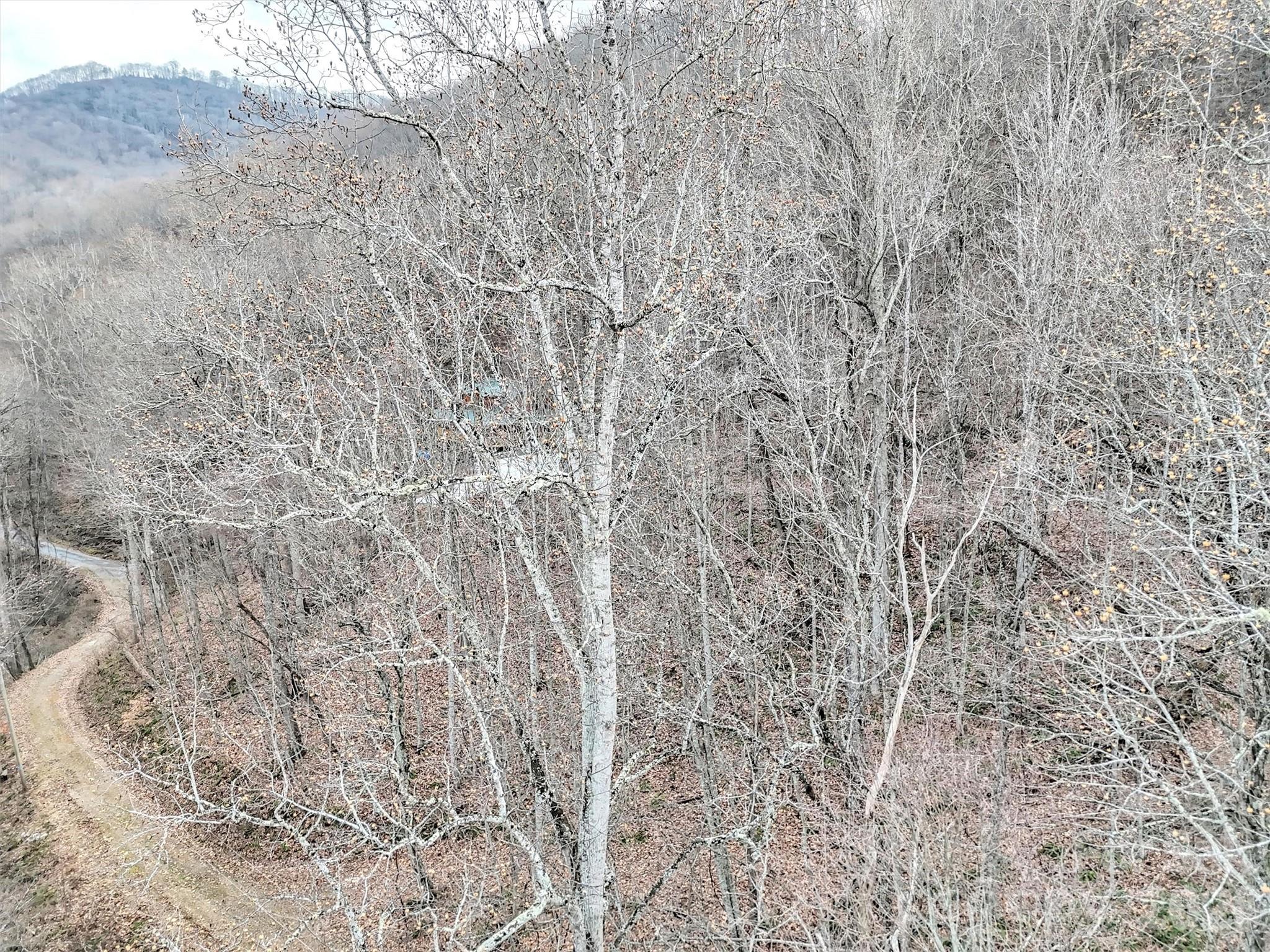 Lot 4d Pelican Place Waynesville NC 28786