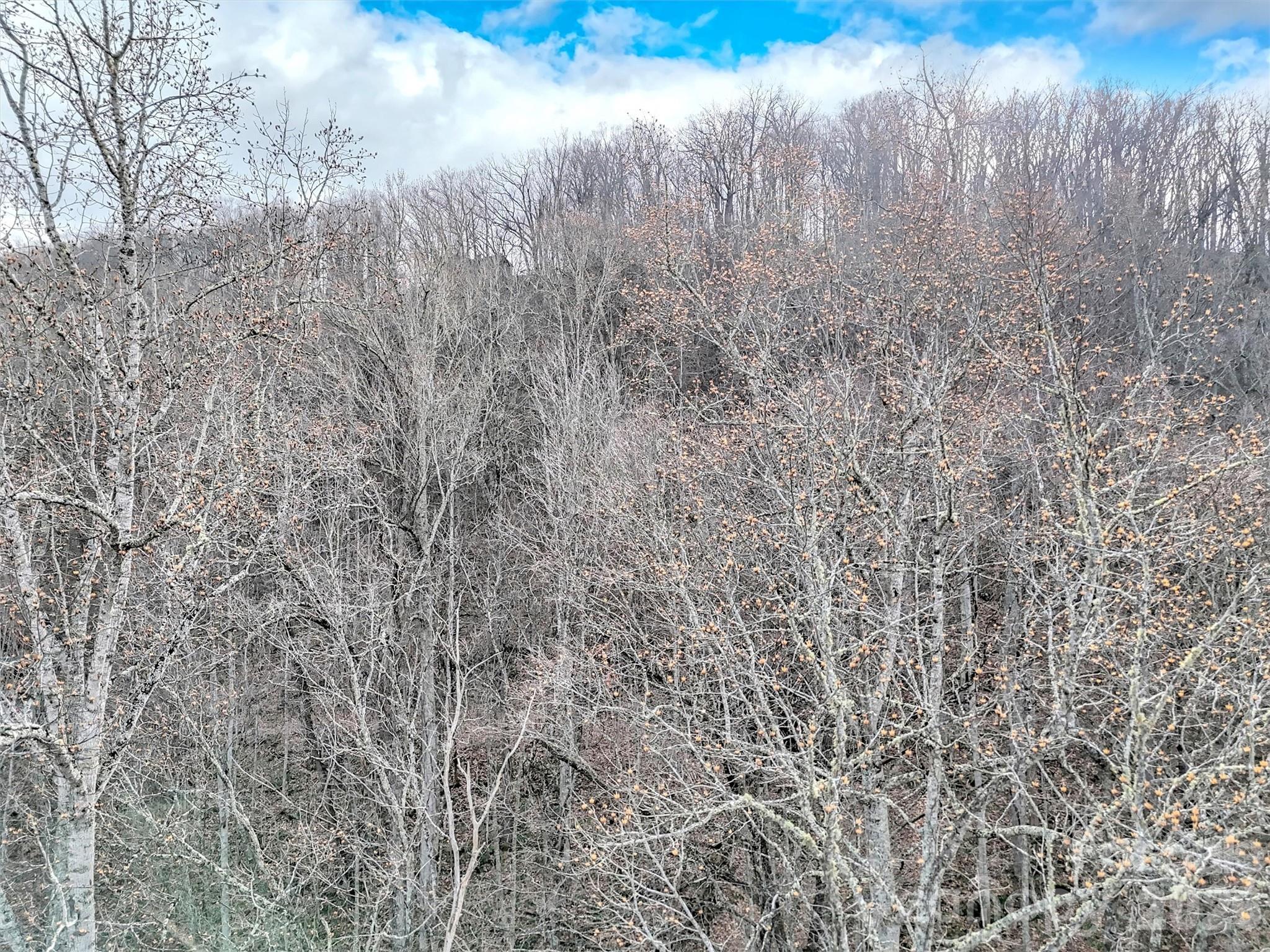Lot 4d Pelican Place Waynesville NC 28786