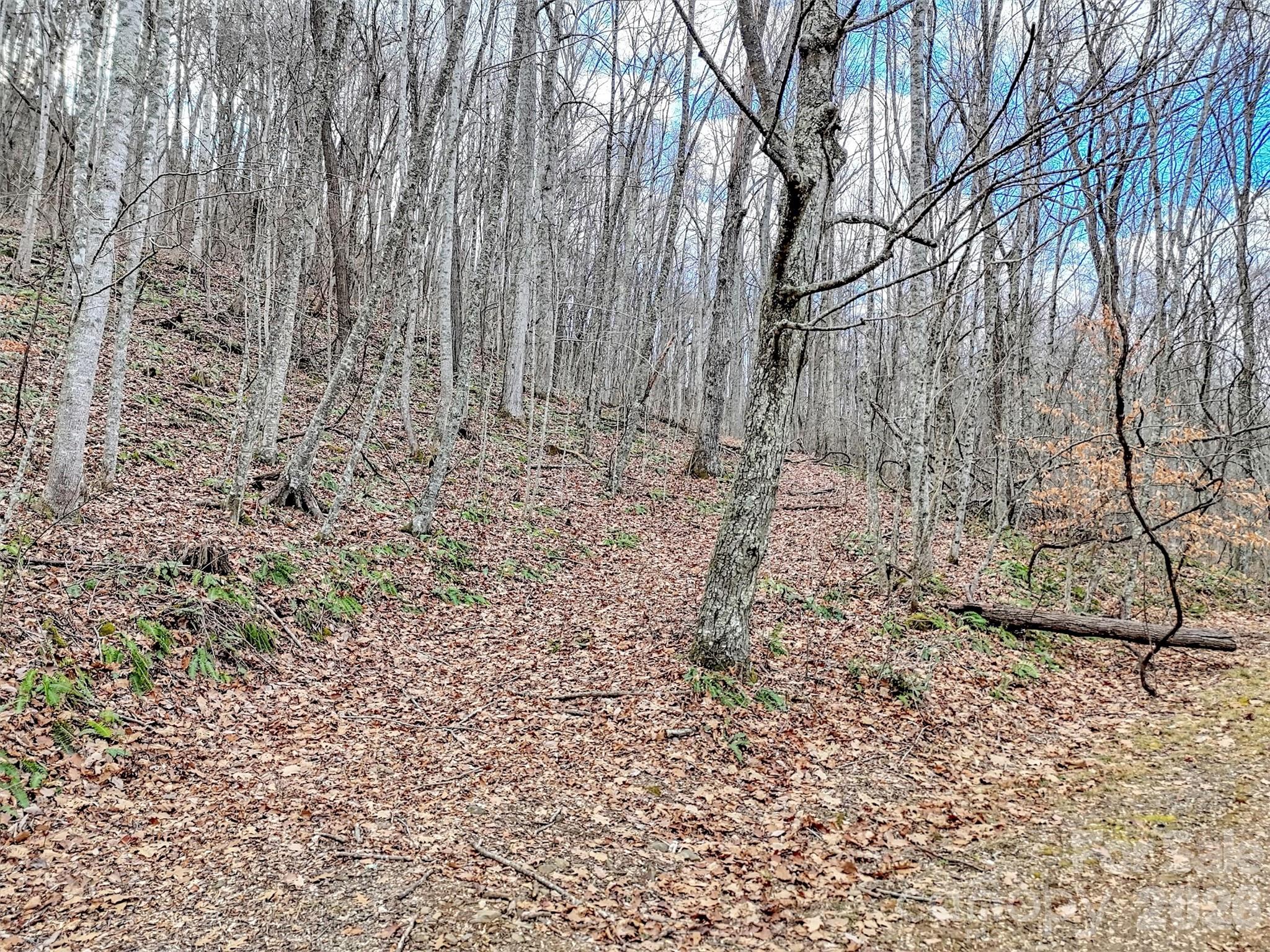 Lot 4d Pelican Place Waynesville NC 28786
