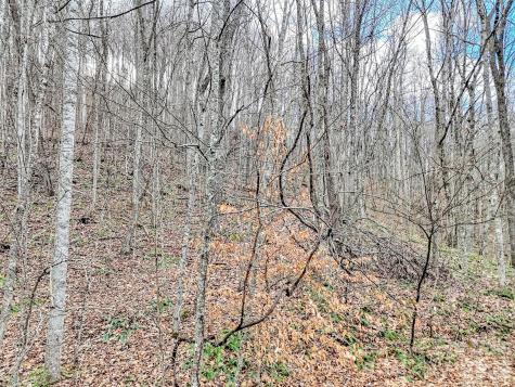 Lot 4d Pelican Place Waynesville NC 28786