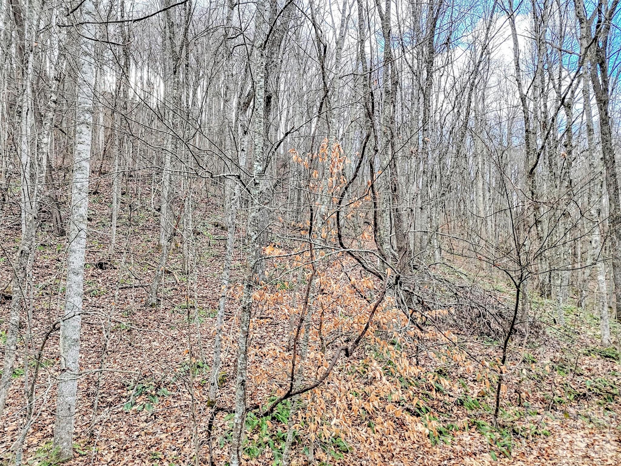Lot 4d Pelican Place Waynesville NC 28786
