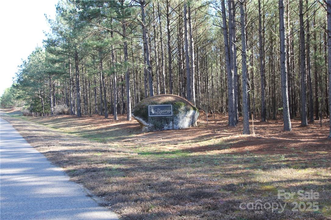 Tbd Wilderness Trail Lilesville NC 28091