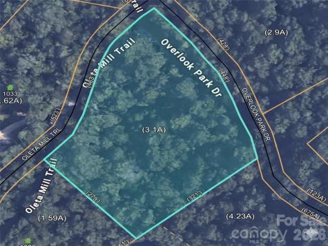 1034 Oleta Mill Trail Hendersonville NC 28792