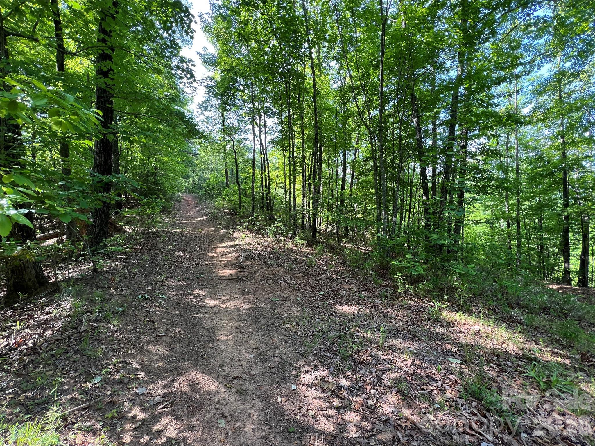 V/l Woodchuck Lane Marion NC 28752
