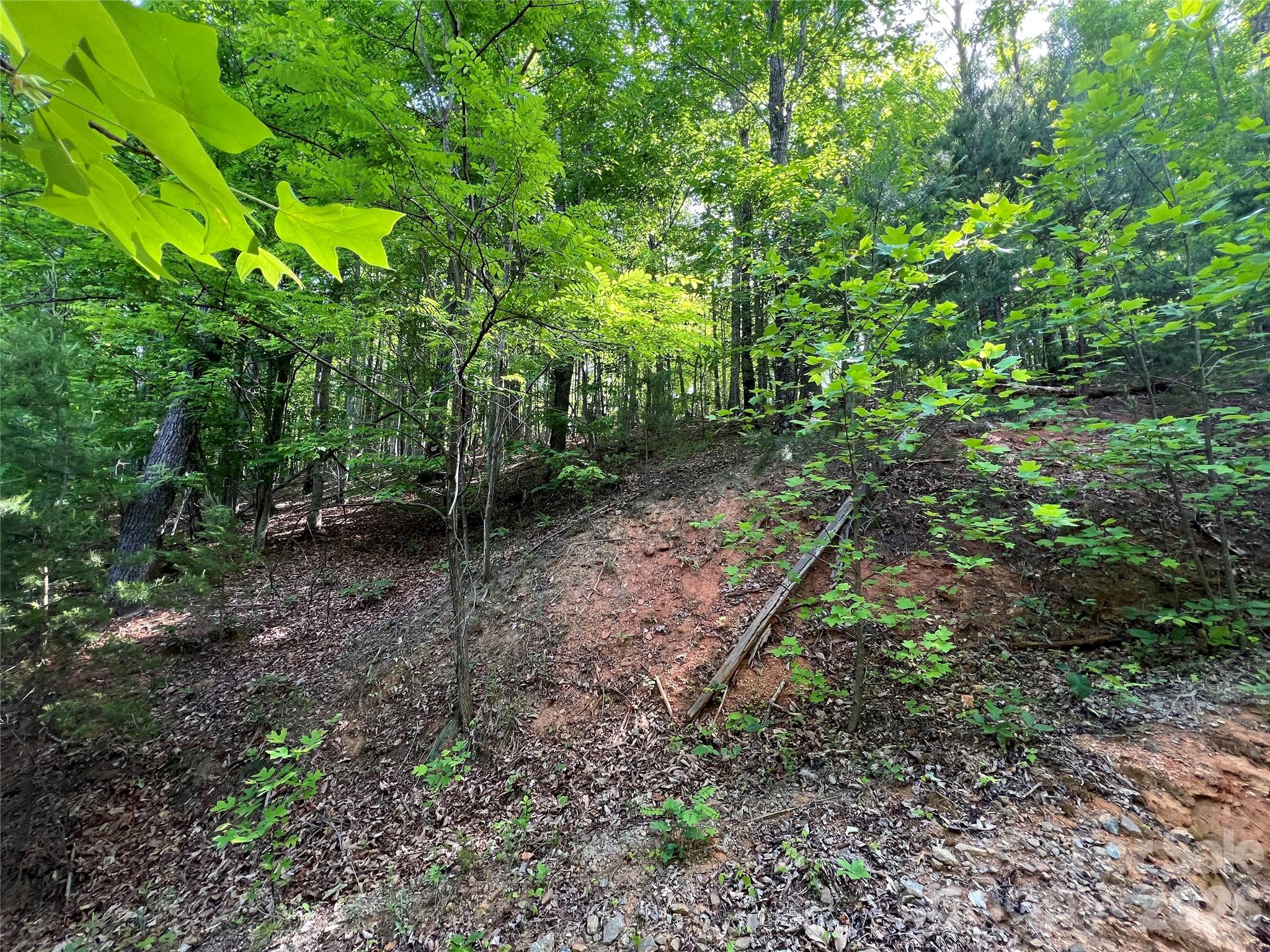 V/l Woodchuck Lane Marion NC 28752