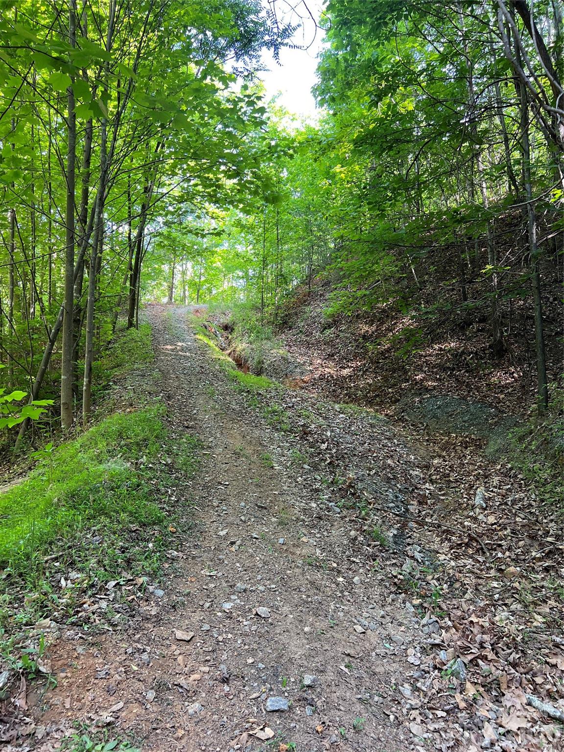 V/l Woodchuck Lane Marion NC 28752