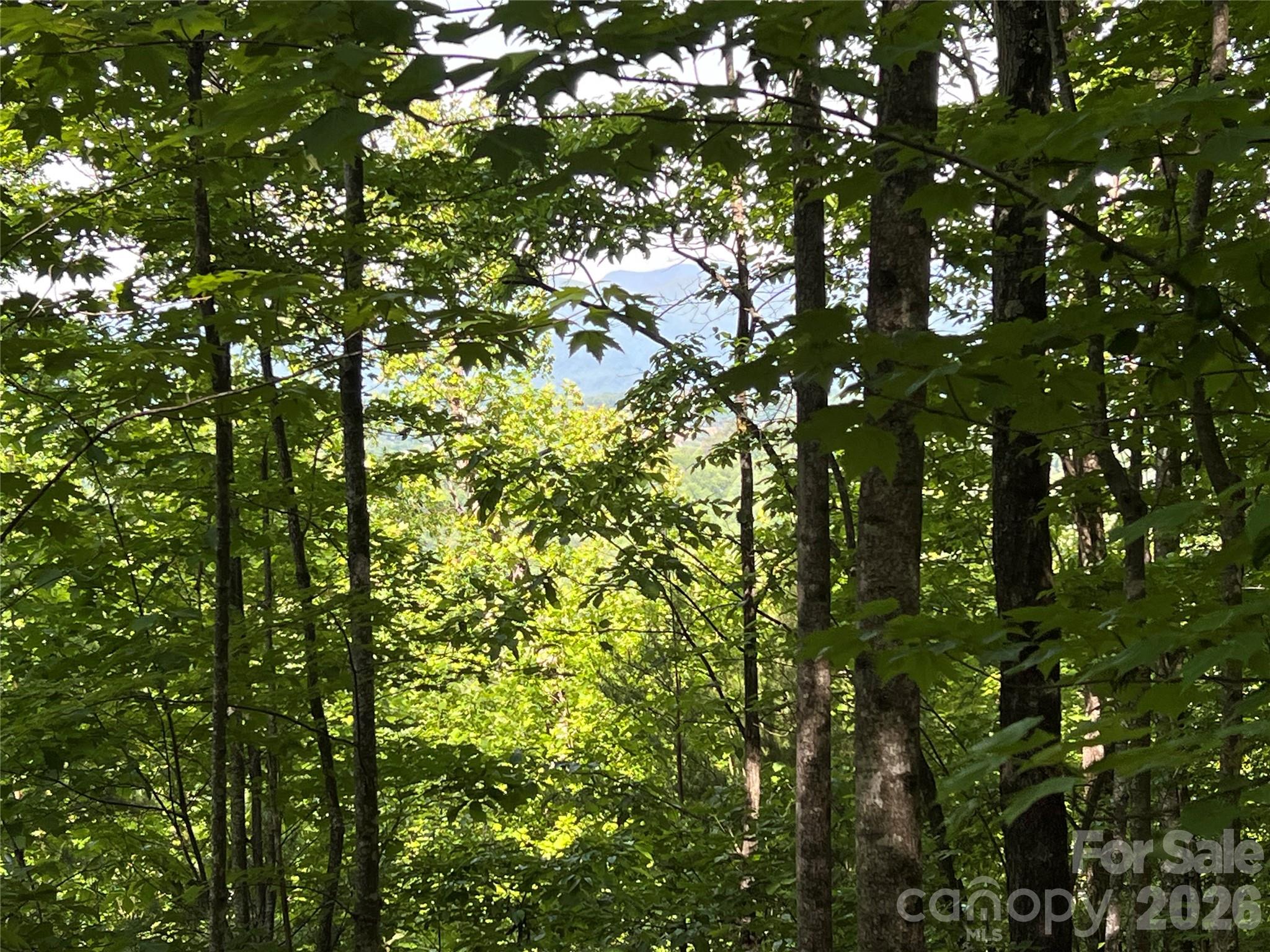 V/l Woodchuck Lane Marion NC 28752