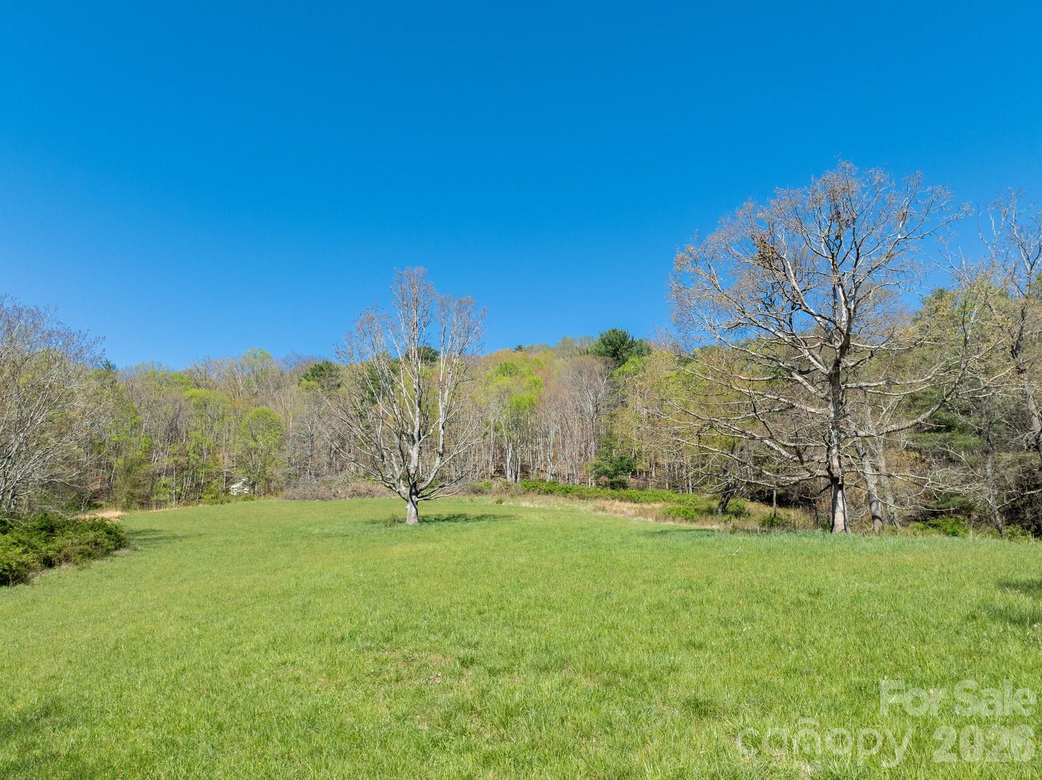 99999 Clarke Road Asheville NC 28805