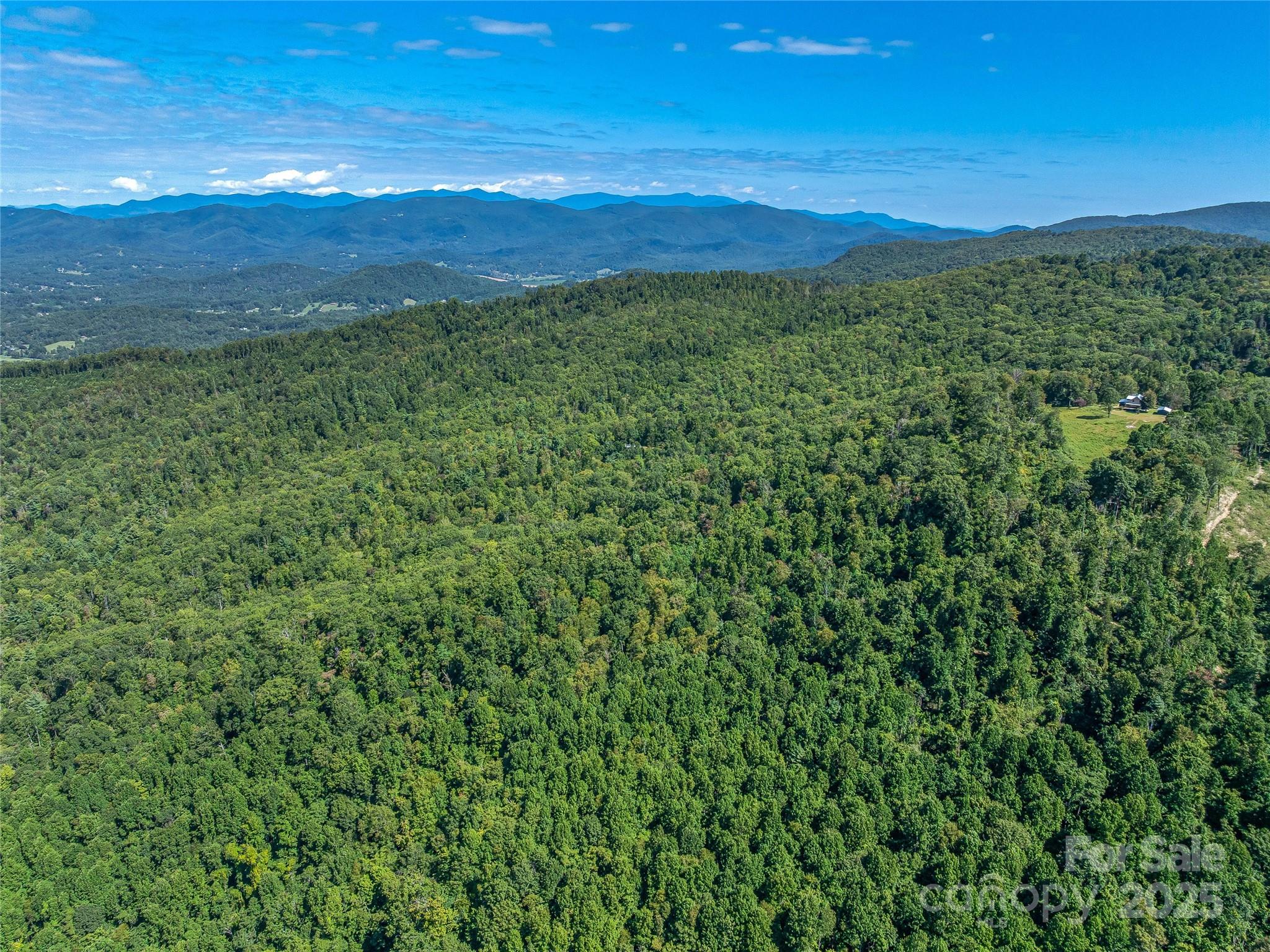 632 Justus Case Mountain Place Hendersonville NC 28792