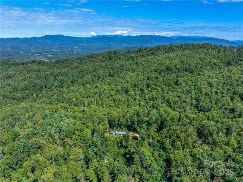 632 Justus Case Mountain Place Hendersonville NC 28792