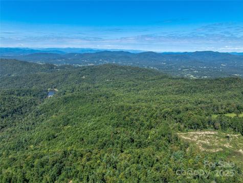 632 Justus Case Mountain Place Hendersonville NC 28792