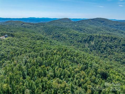 632 Justus Case Mountain Place Hendersonville NC 28792