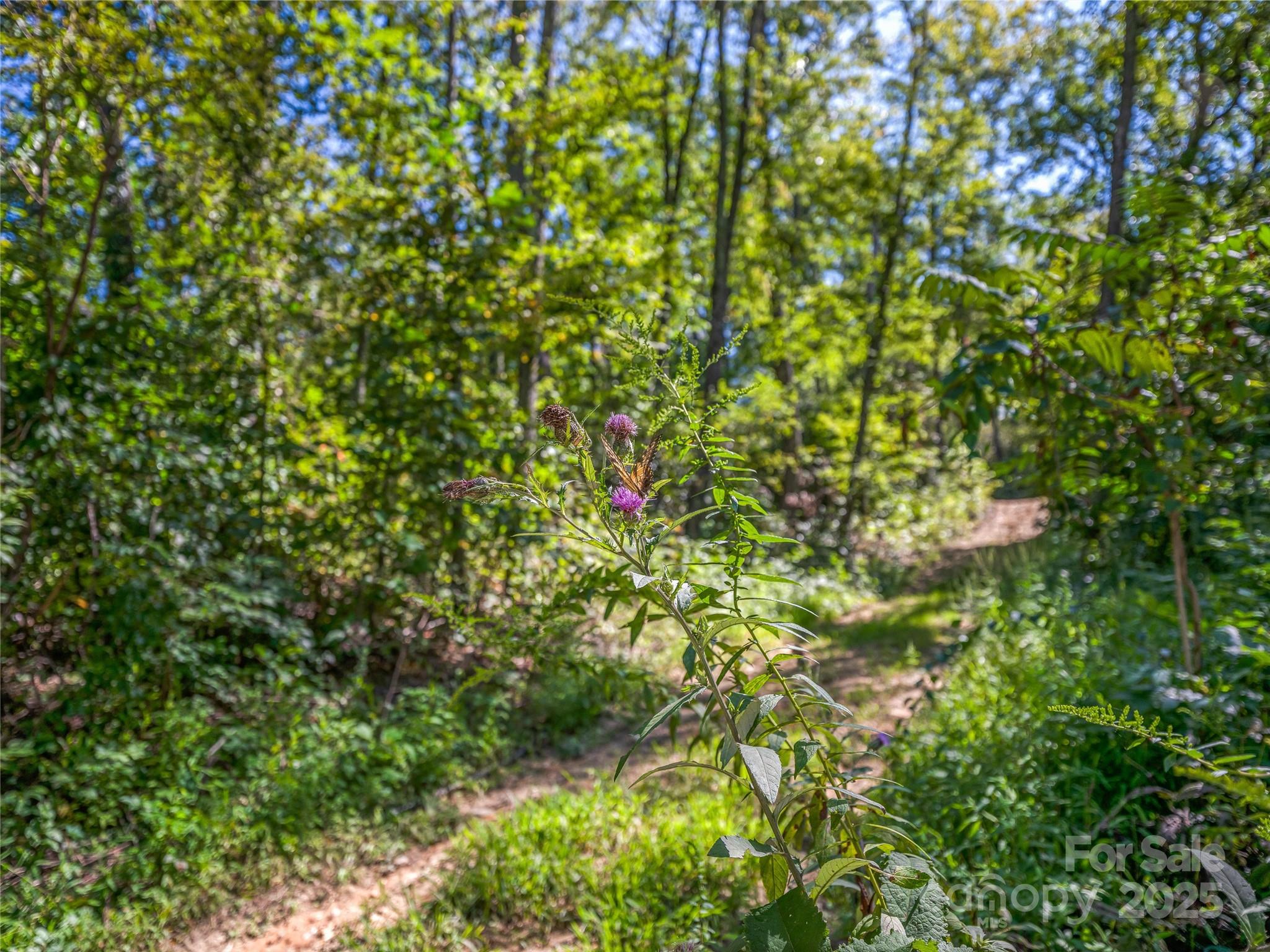 632 Justus Case Mountain Place Hendersonville NC 28792