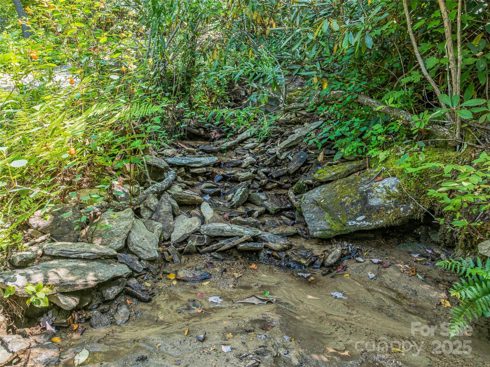 632 Justus Case Mountain Place Hendersonville NC 28792