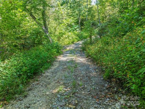 632 Justus Case Mountain Place Hendersonville NC 28792