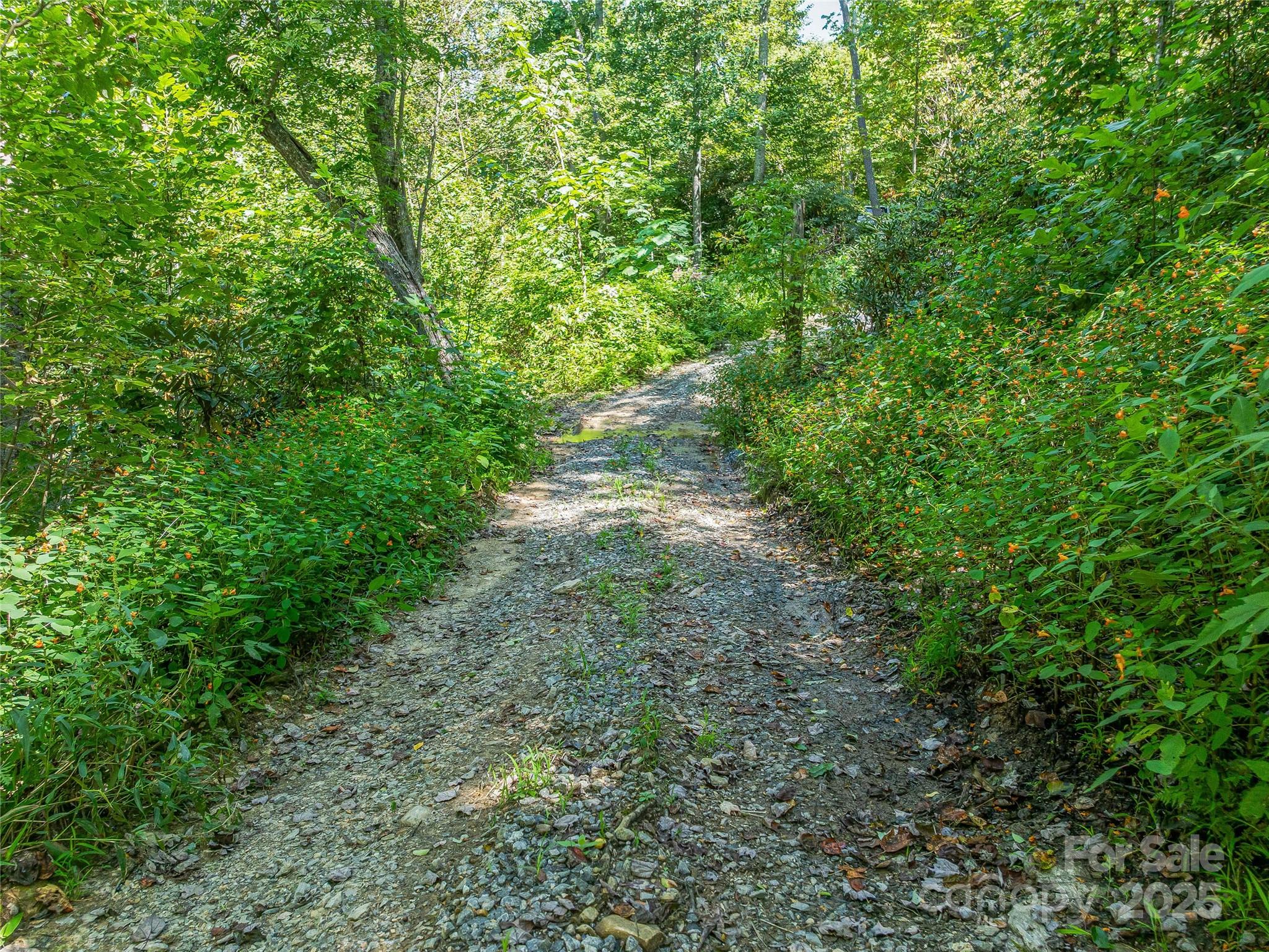 632 Justus Case Mountain Place Hendersonville NC 28792