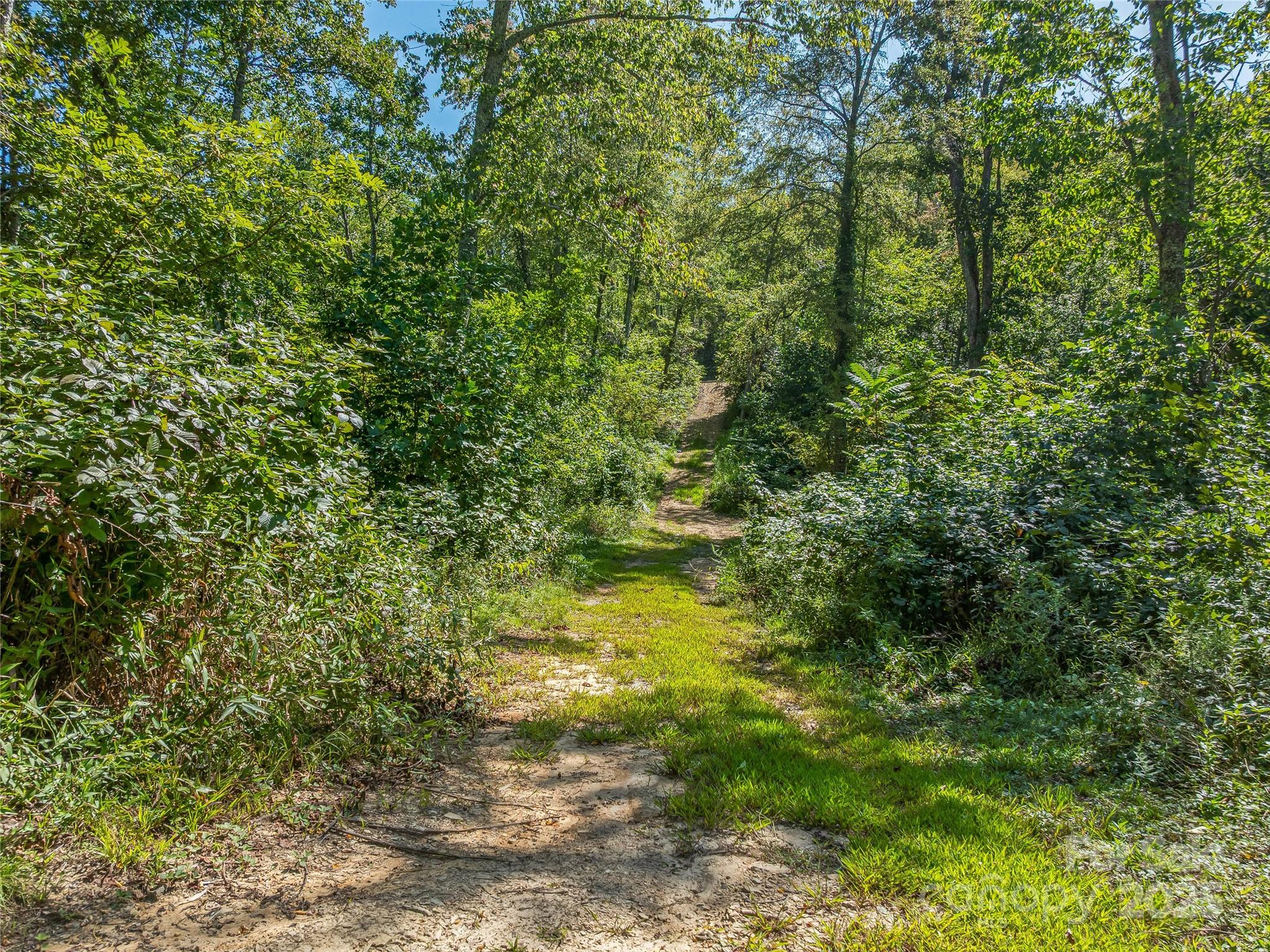 632 Justus Case Mountain Place Hendersonville NC 28792