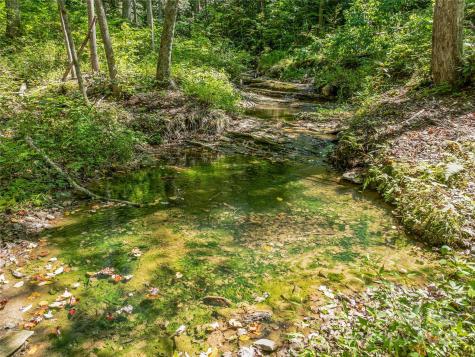 632 Justus Case Mountain Place Hendersonville NC 28792