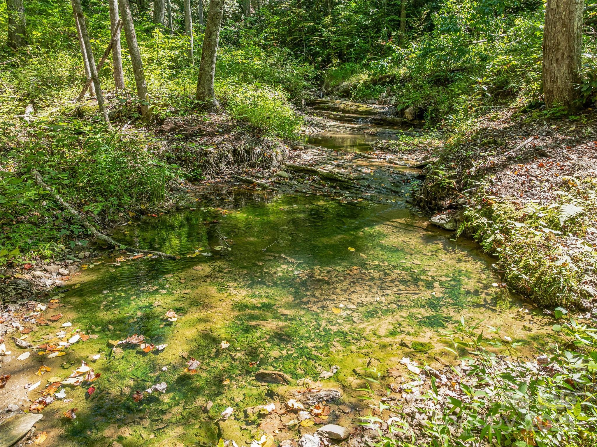 632 Justus Case Mountain Place Hendersonville NC 28792