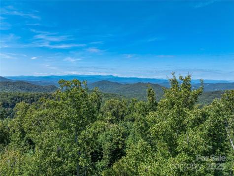 632 Justus Case Mountain Place Hendersonville NC 28792