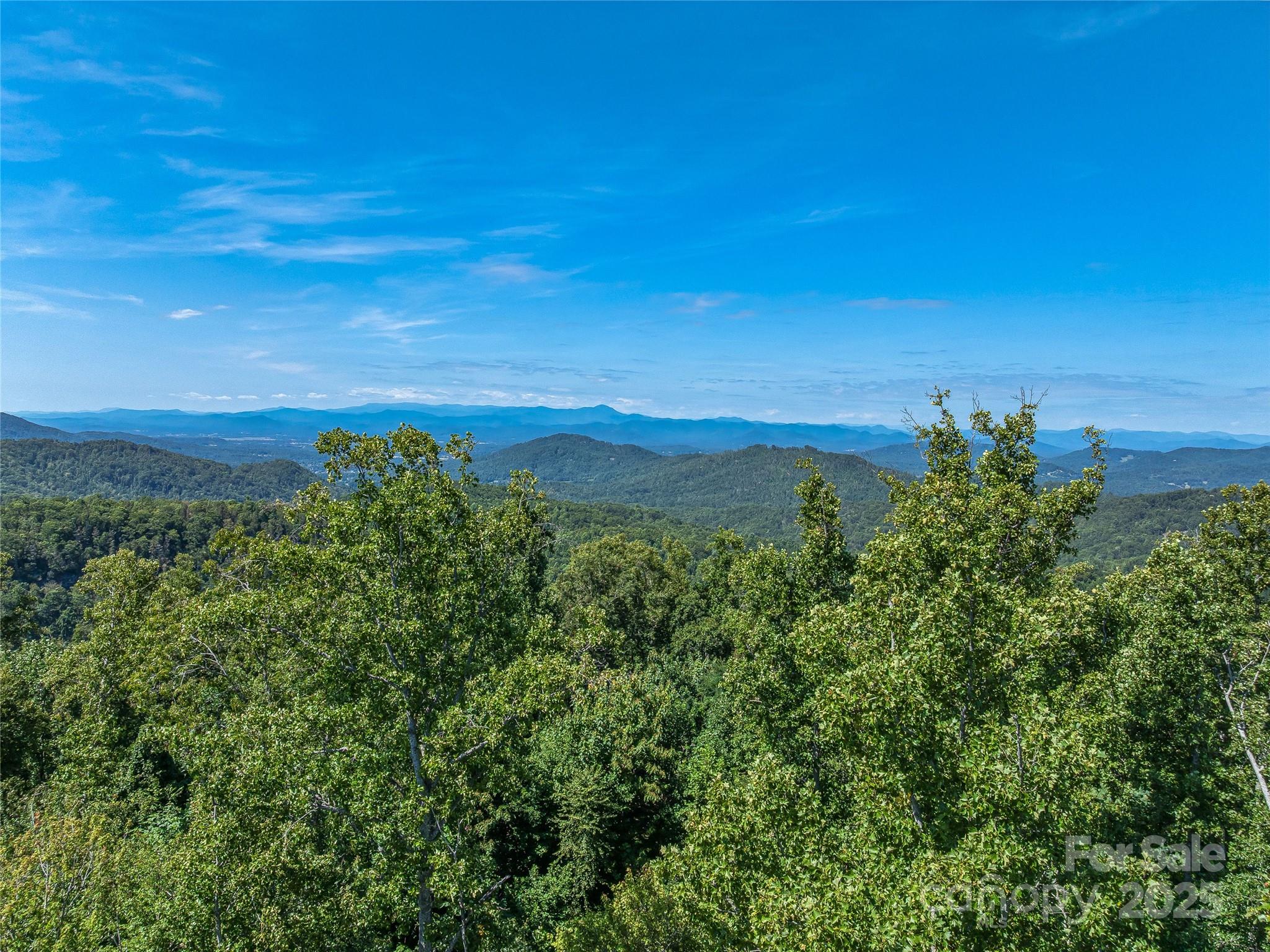 632 Justus Case Mountain Place Hendersonville NC 28792