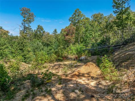 632 Justus Case Mountain Place Hendersonville NC 28792