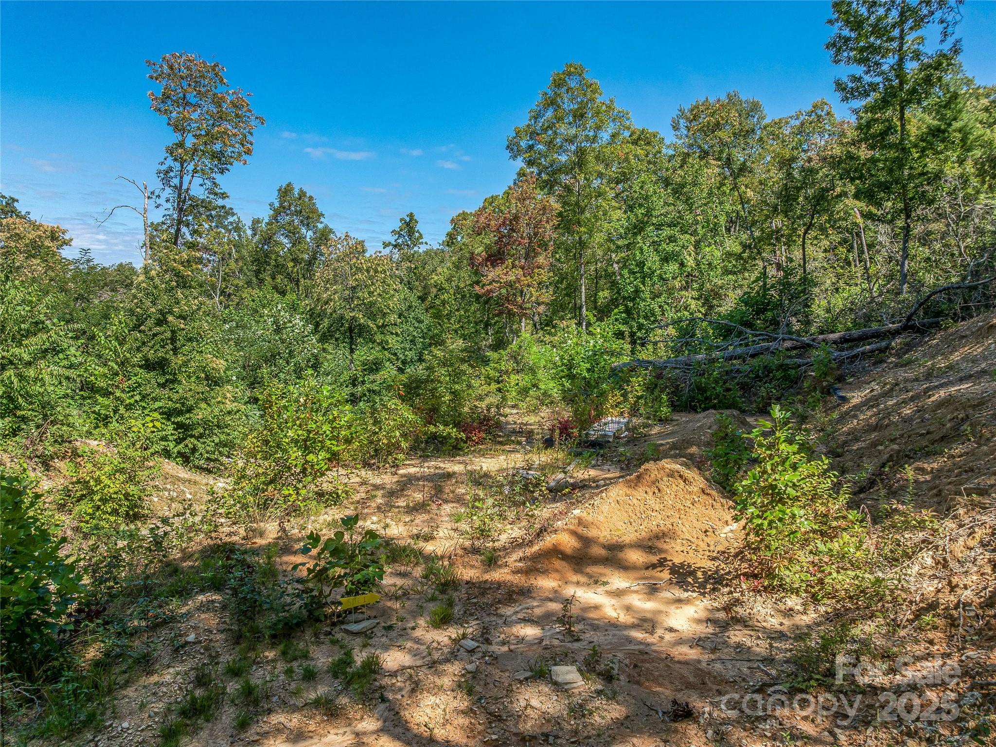 632 Justus Case Mountain Place Hendersonville NC 28792