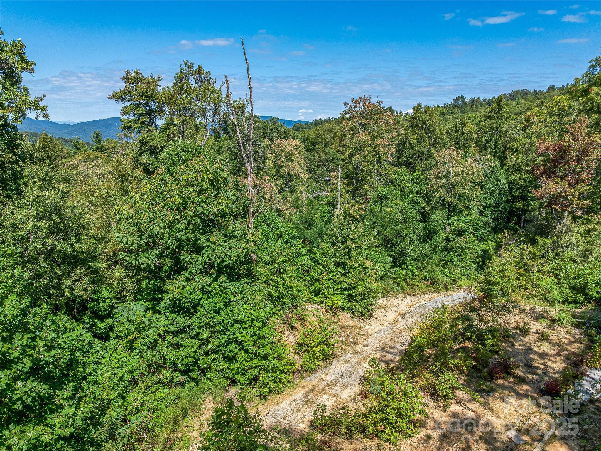 632 Justus Case Mountain Place Hendersonville NC 28792