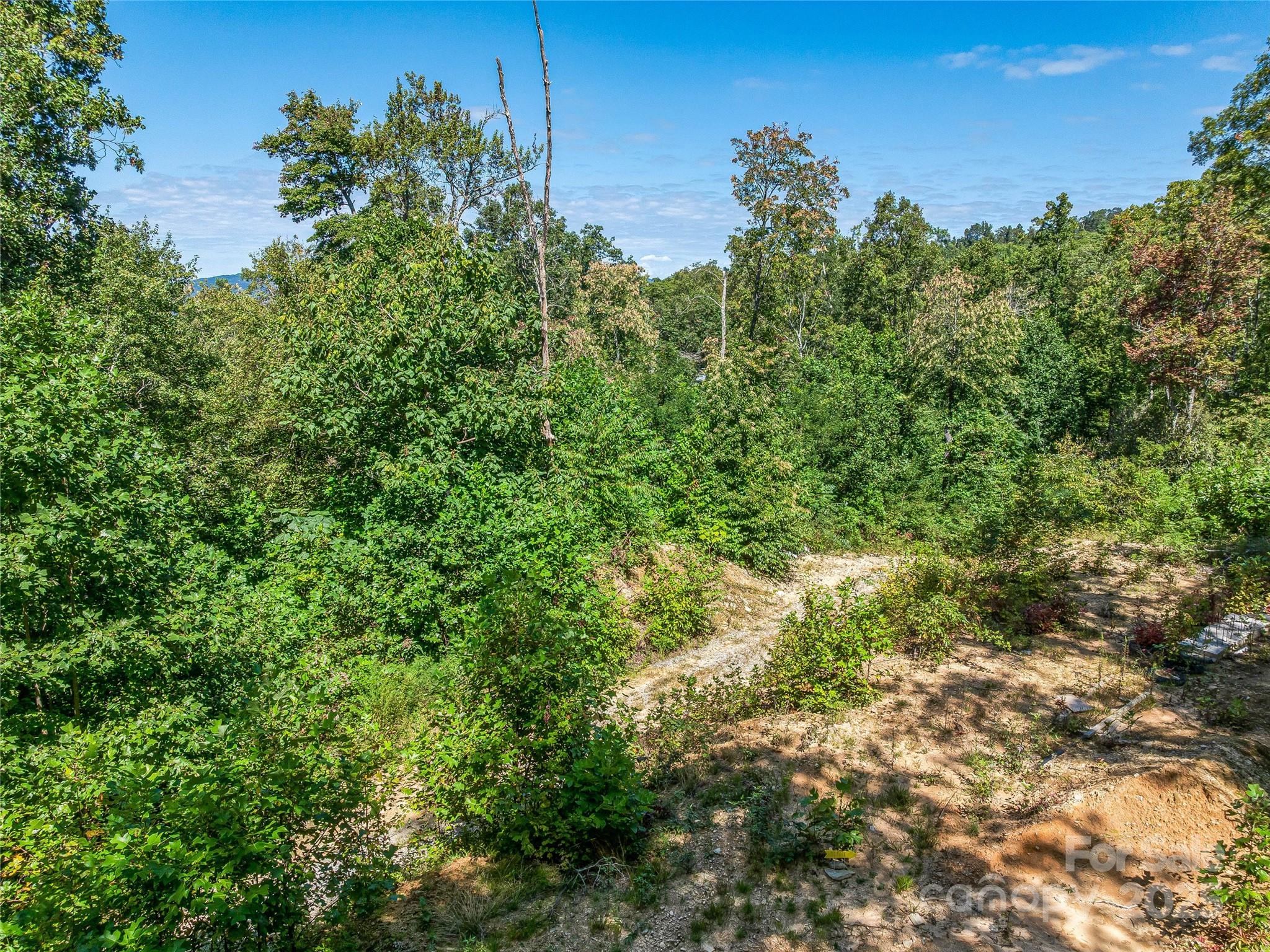 632 Justus Case Mountain Place Hendersonville NC 28792